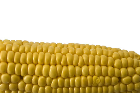 A cob of raw corn photographed close up against a plain white background.