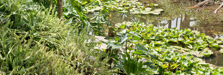 this is a peaceful area to rest and relaxの写真素材