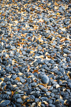 Stone ground texture