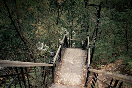 Metal and wooden stairs descending down the forest through the trees