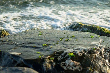 Shiny rocks and crashing waves by the sea with sun glare and seaweedの写真素材