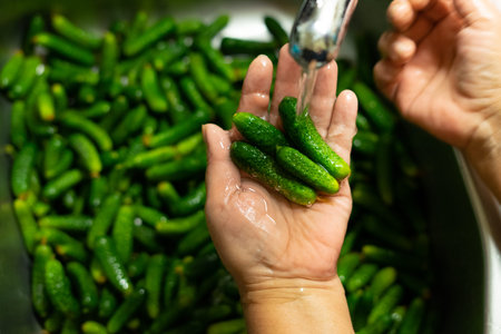 Pile of green gherkins cornichon on the hand