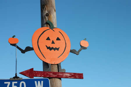 pumpkin signの写真素材