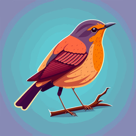 Robin bird cartoon icon. Colorful vector illustration of a bird.のイラスト素材