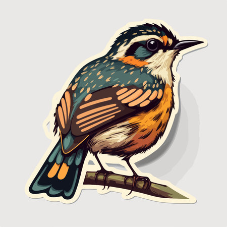 Babbler bird isolated on white background. Vector illustration in cartoon style.のイラスト素材