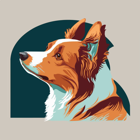 Portrait of a red border collie dog. vector illustration.のイラスト素材