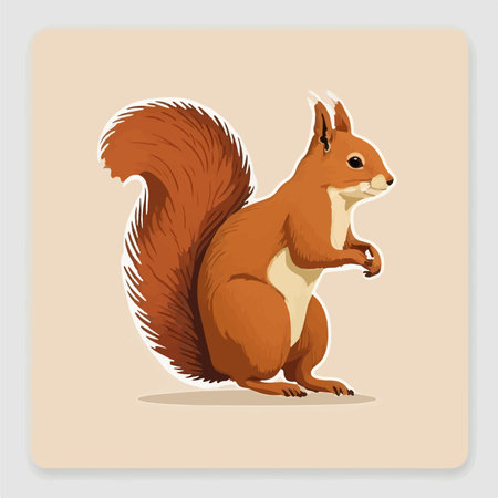 Squirrel in cartoon style. Vector illustration of a squirrel on a light background.のイラスト素材