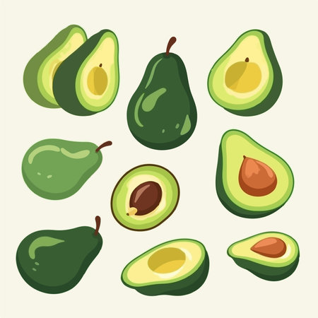 Avocado icon set. Avocado icons set. Vector illustration of a set of avocados.のイラスト素材