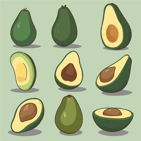 Avocado icons set. Vector illustration of avocados in cartoon style.