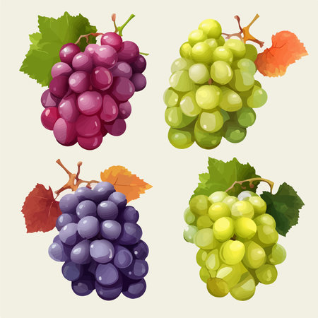 Grapes set. vector illustration. isolated on white background.のイラスト素材