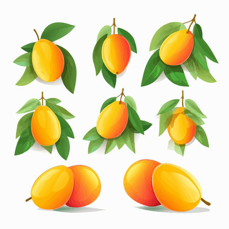 Mango fruit icon set. Vector illustration isolated on white background.のイラスト素材