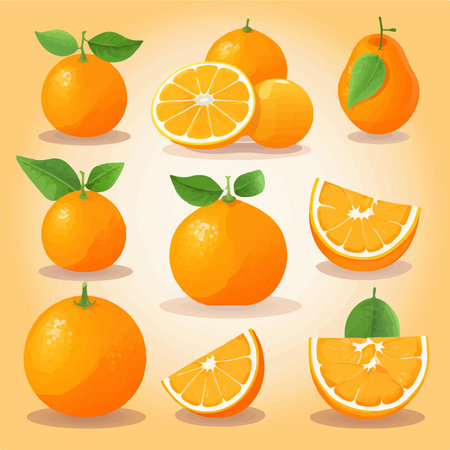 Orange fruit icons set. Cartoon illustration of orange fruits vector icons for web designのイラスト素材