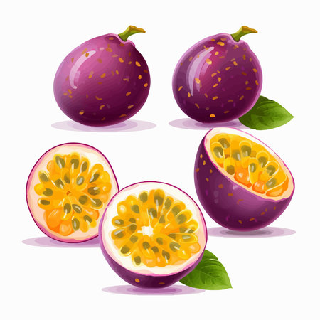 Passion fruit set isolated on white background. Realistic vector illustration.のイラスト素材
