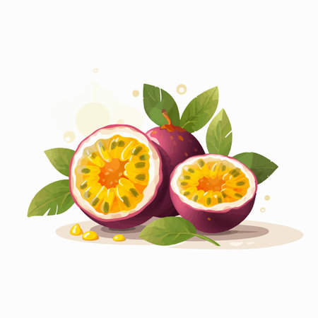 Passion fruit vector illustration isolated on white background. fresh passionfruit.のイラスト素材