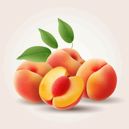 Fresh apricots on a light background. vector illustration for your designのイラスト素材
