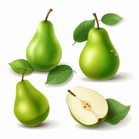 Set of green pears with leaves and slices. vector illustration.のイラスト素材