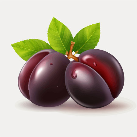 Plum fruit with leaves. Vector illustration on a white background.のイラスト素材