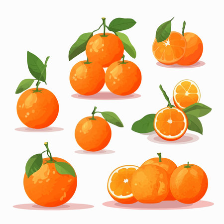 Set of tangerines with leaves isolated on white background. vector illustration.のイラスト素材