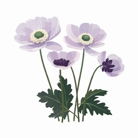 purple anemone flowers icon over white background. colorful design. vector illustrationのイラスト素材