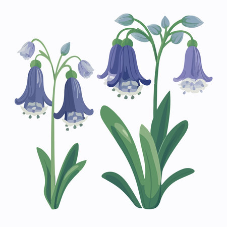 Set of bluebells isolated on white background. vector illustration.のイラスト素材