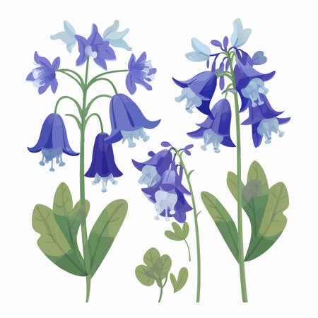 Set of bluebells. Vector illustration isolated on white background.のイラスト素材