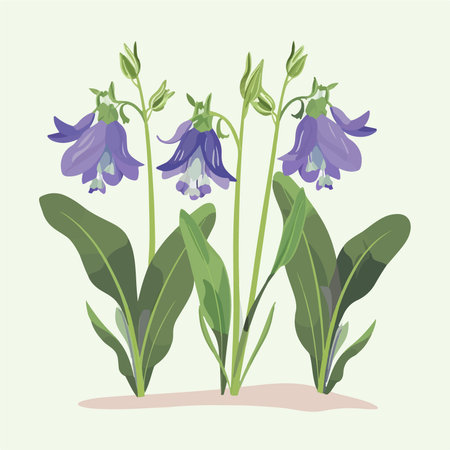 Campanula, bluebell, bellflower. vector illustration.のイラスト素材