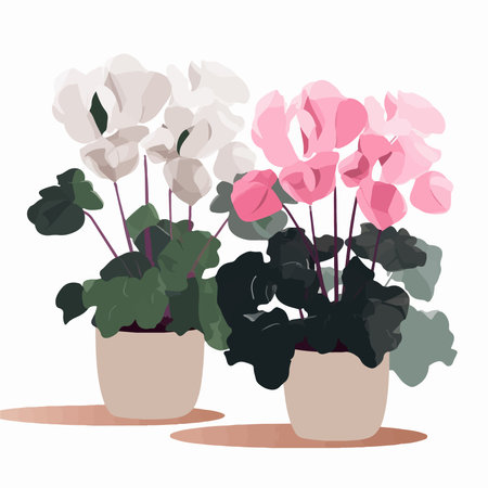 Flowerpot with cyclamen. Vector illustration in flat style.のイラスト素材