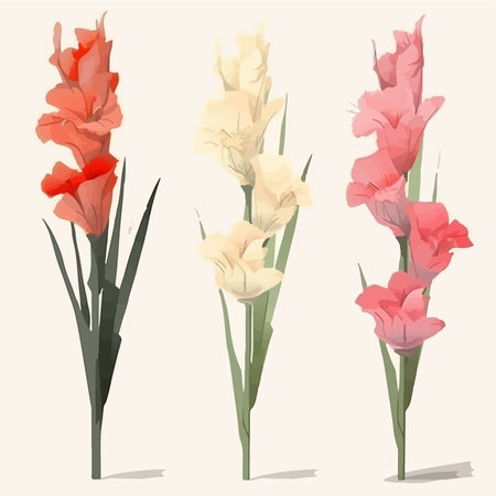 Set of beautiful gladiolus flowers in retro style. vector illustration.のイラスト素材