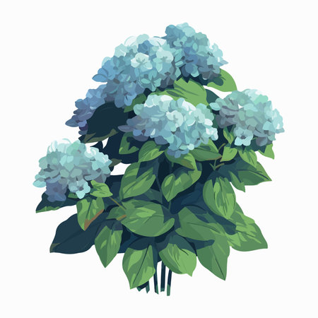 Blue hydrangea isolated on white background. vector illustration.のイラスト素材