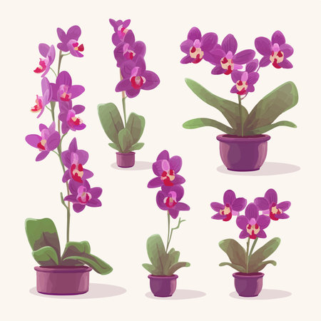 Set of orchids in pots. Vector illustration in cartoon style.のイラスト素材