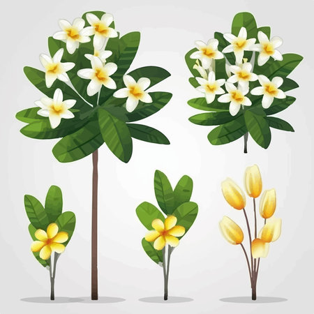 Frangipani flowers on a tree. Vector illustration in cartoon style.のイラスト素材
