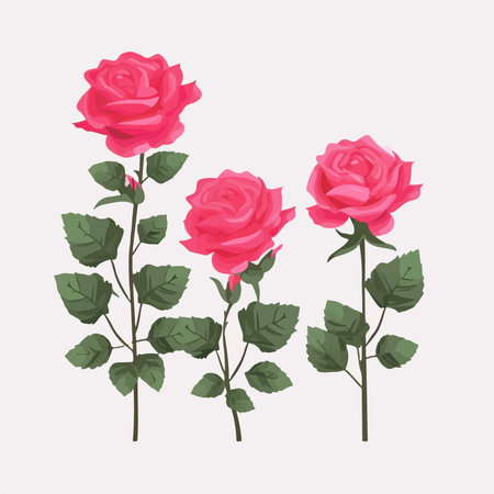 Three pink roses with green leaves isolated on white background. vector illustration.のイラスト素材