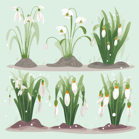 Set of snowdrops. Vector illustration in flat style. spring flowers.のイラスト素材