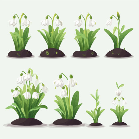 Set of snowdrop flowers. Collection of spring flowers. vector illustration.のイラスト素材