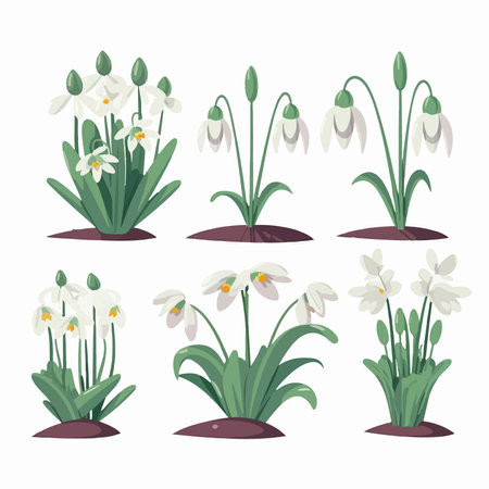 Set of snowdrops. spring flowers. Vector illustration in flat style.のイラスト素材