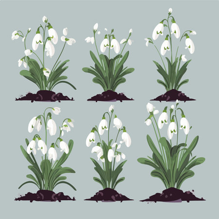 Set of spring snowdrop flowers. Vector illustration in flat style.のイラスト素材