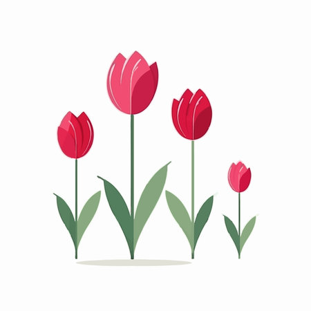 Red tulips isolated on white background. Vector illustration in flat style.のイラスト素材