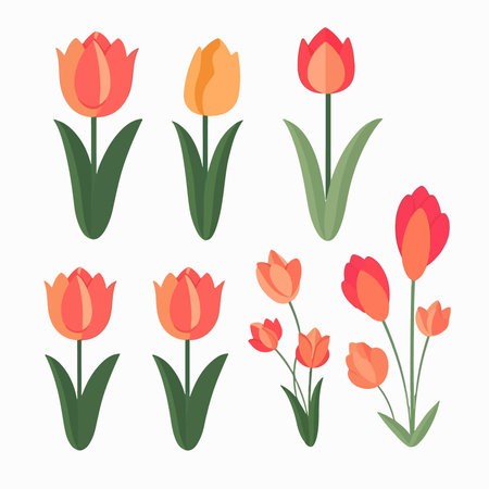 Tulip flowers set. Vector illustration in flat design style.のイラスト素材