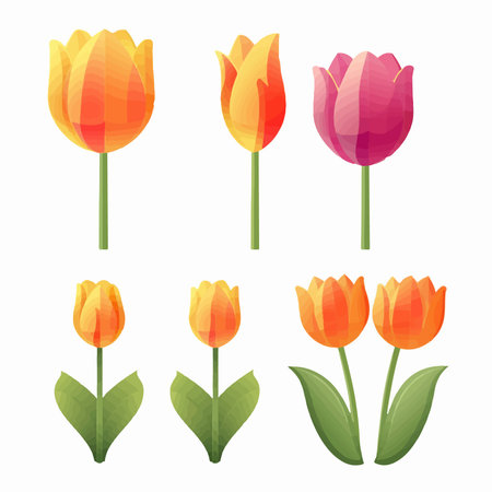 Tulips set isolated on white background. Vector illustration in cartoon style.のイラスト素材