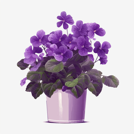 Illustration of a violets in a pot on a white backgroundのイラスト素材