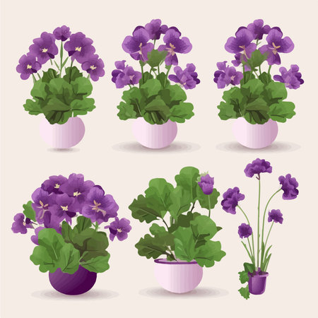 Set of purple pansy flowers in a pot. vector illustration.のイラスト素材