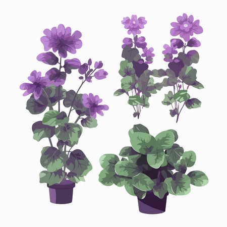 flowers in pots. Vector illustration isolated on a white background.のイラスト素材