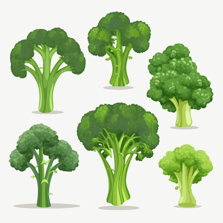 Broccoli set. Vector illustration in cartoon style. isolated on white background.のイラスト素材