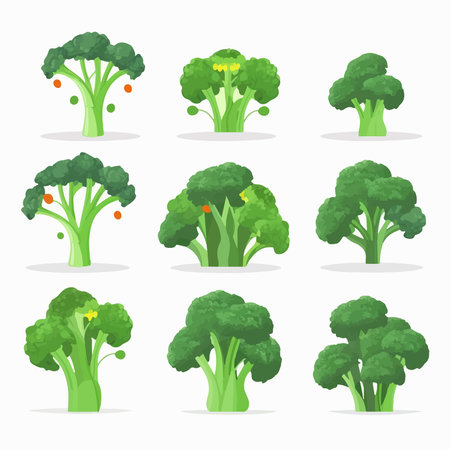 Broccoli icon set. Flat illustration of broccoli vector icons for web designのイラスト素材
