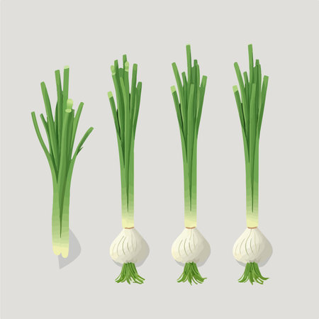 Onion. Vector illustration of a bunch of fresh green onions.のイラスト素材