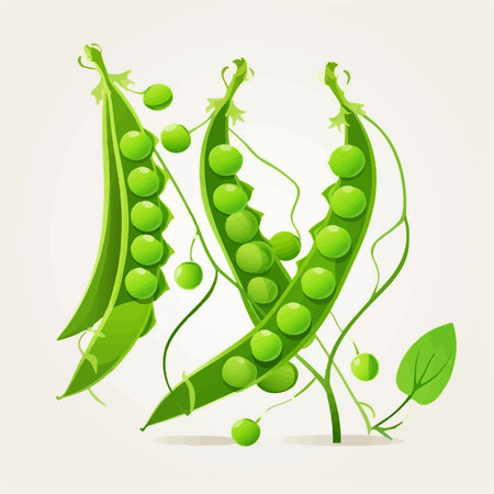 Fresh green peas in pods isolated on white background. vector illustration.のイラスト素材