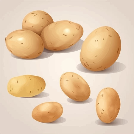 Potatoes on a light background. Vector illustration of fresh potatoes.のイラスト素材