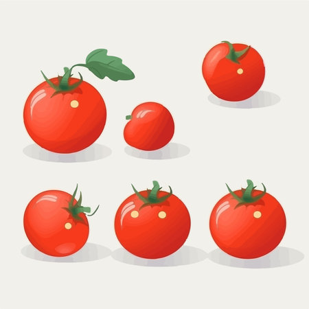 Tomatoes vector illustration set. isolated on a white background.のイラスト素材