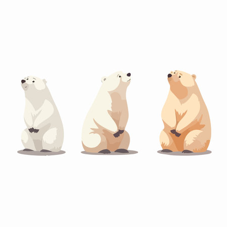 Polar bear vector illustration set. Cute cartoon polar bear.のイラスト素材
