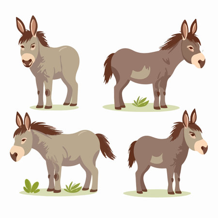 Donkey vector set. Cute cartoon mule animal character illustration.のイラスト素材